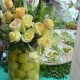 lemonlamp3 lemonlamp3