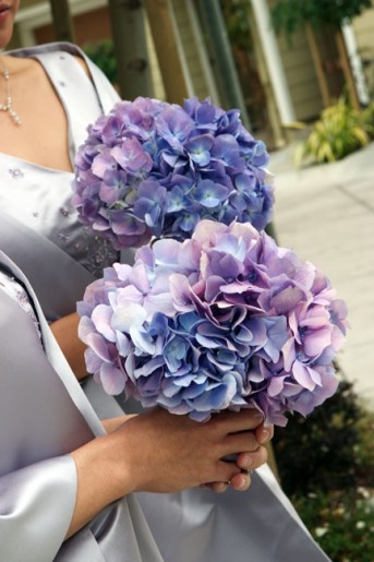 bridemaids-boq_4641