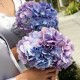 bridemaids-boq_4641