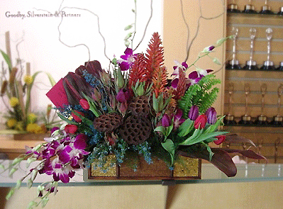 tuips lotus orchids goodby silverstein & partners special delivery